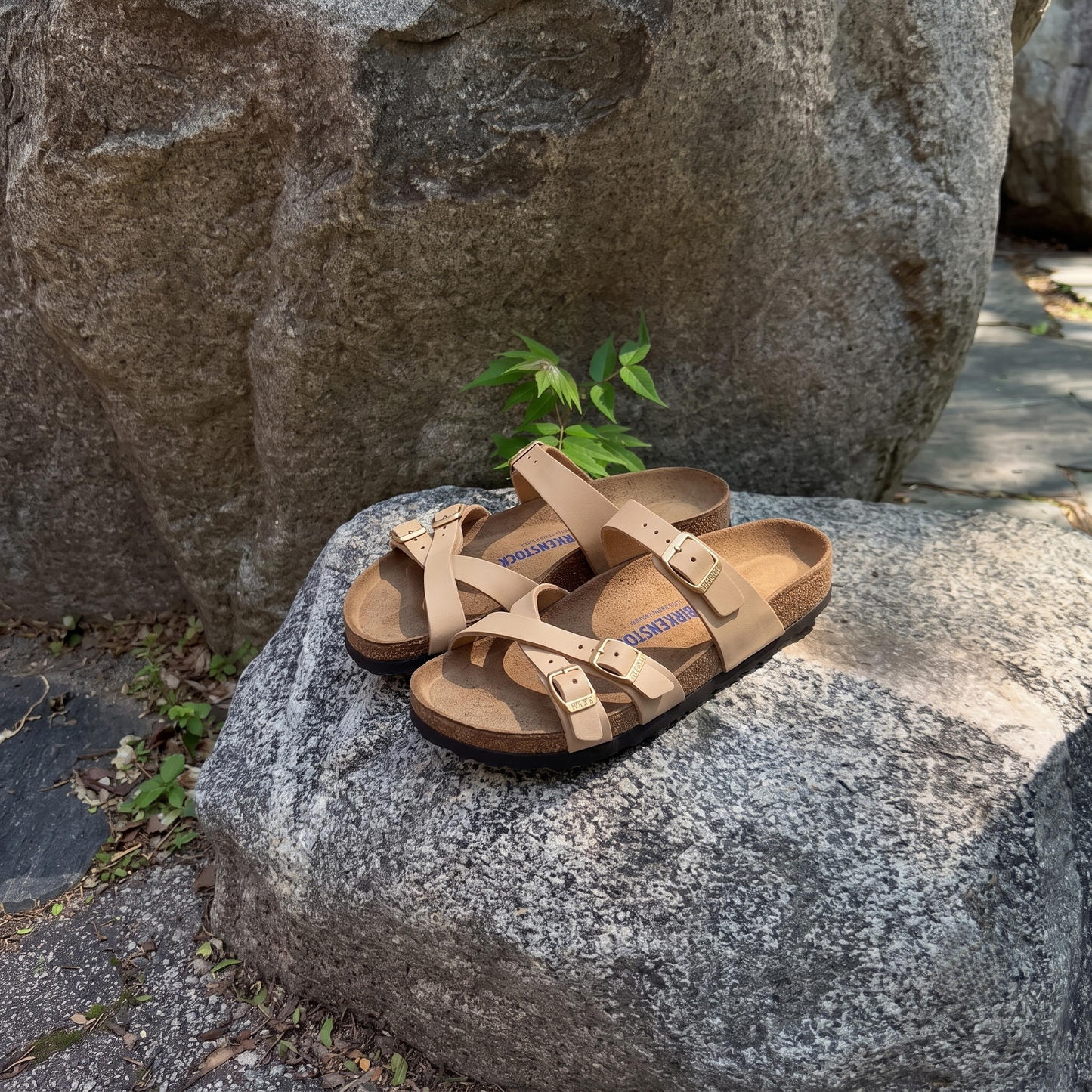 Franca Soft Footbed Slide Sandal